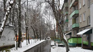 21 января в Рязани ожидается до -8°С и гололедица