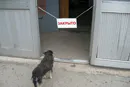 Вынужденный отпуск продолжается