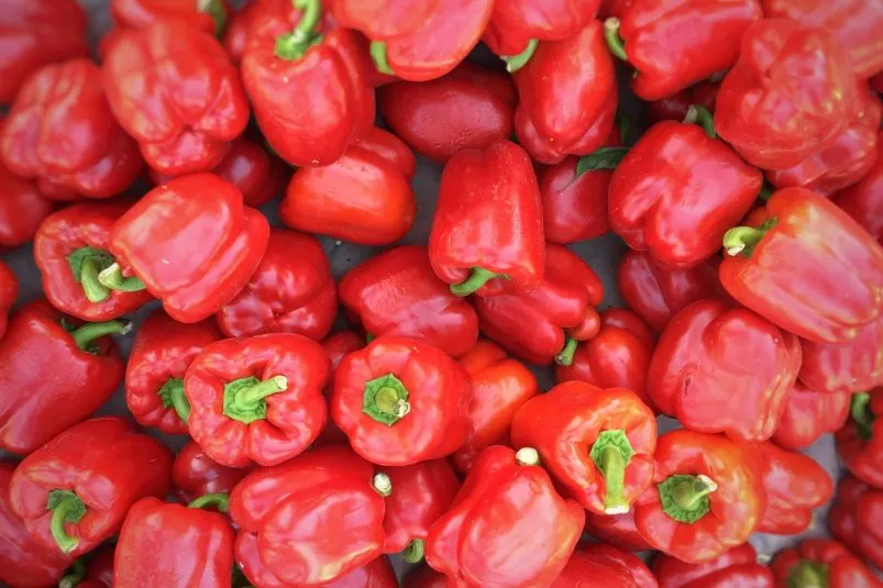 Всего 1 ложка на ведро: подкормите так перец после 25 августа – крупные и сладкие плоды