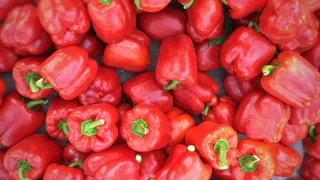 Всего 1 ложка на ведро: подкормите так перец после 25 августа – крупные и сладкие плоды