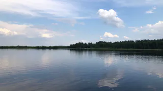 12 июня в Рязанской области ожидается порывистый ветер и до +21 градуса