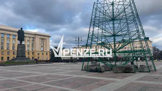 Началась установка главной елки в Пензе