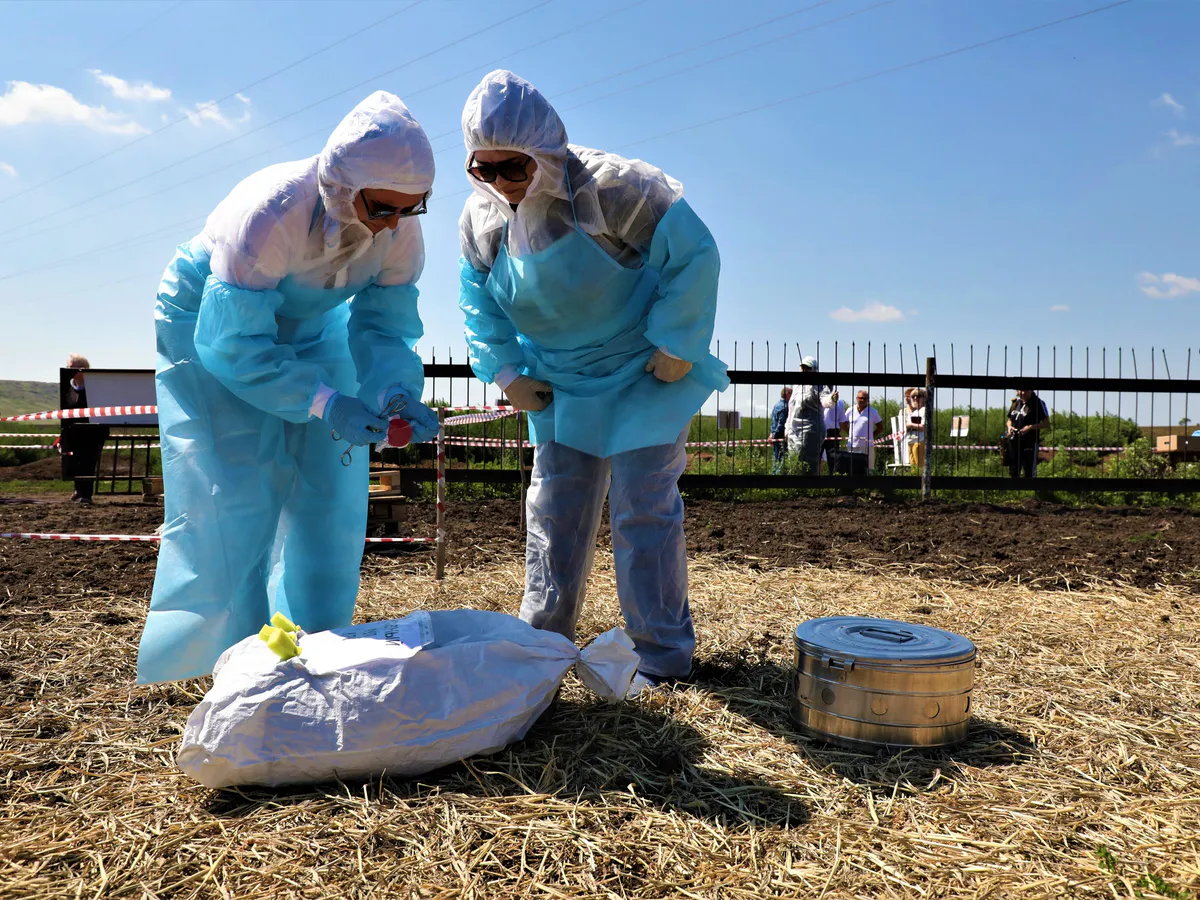 Магнитогорск отработал действия при "вспышке" ящура 