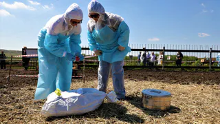 Магнитогорск отработал действия при "вспышке" ящура 