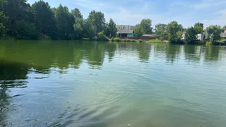 Ученые рассказали о весеннем половодье в Рязанской области