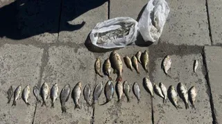 Житель Магнитогорска поплатился за незаконный улов 