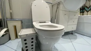 Зачем нужно солить воду в унитазе. Запомните раз и на всю жизнь
