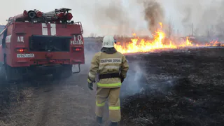 6 погибших: за неделю в Рязанской области случилось более 60 пожаров