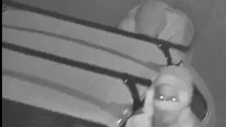 В Рязани двое неизвестных угнали автомобиль со двора ЖК «Чайка»