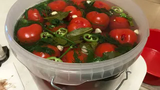Готовлю быстрые помидоры с чесноком и зеленью. Очень вкусно и невероятно просто! Моя палочка-выручалочка, когда гости уже на пороге