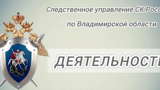 В 2024 году подростки во Владимирской области совершили более 170 преступлений