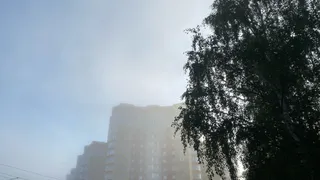 28 августа Коми накроет непогода: утренние туманы и дневные грозы