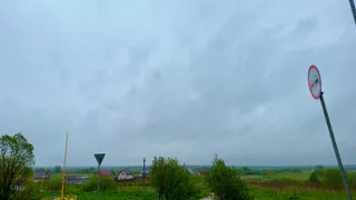 В Шемуршинском округе проводят осмотр полей