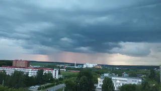 Губернатор Рязани Павел Малков лично посадил рябину в сквере