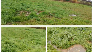 В Юрьев-Польском берег Колокши заливает нечистотами