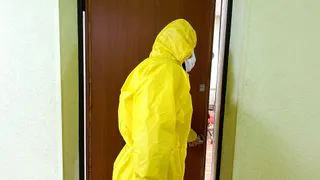 В Рязани ввели карантин из-за африканской чумы свиней