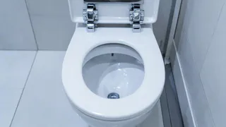 1 пакетик в унитаз – на утро он будет белее снега: советы от опытного сантехника