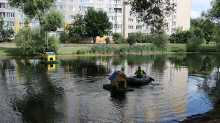 Во Владимире на Красносельский пруд вернули отремонтированные домики для уток