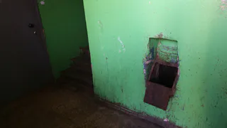 Народный контроль: “В нашем подъезде очень много тараканов”