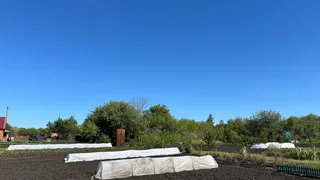 Деньги за грядки: всем собственникам участков теперь положена доплата - государство выдало дачникам "счастливый лотерейный билет"