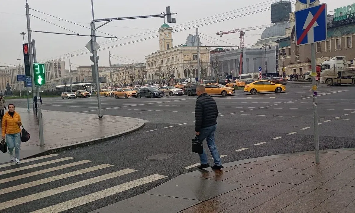 Шаг на «зебру» - теперь не обязательно: когда водитель обязан уступить пешеходу и что ответить инспектору ГИБДД