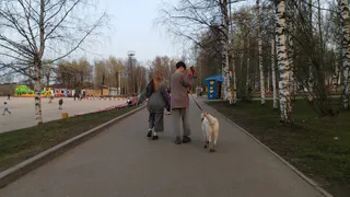 Близнецов ожидают судьбоносные встречи, а Львов - яркая неделя