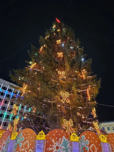 Магнитогорск готовится к Новому году: началась установка главной елки