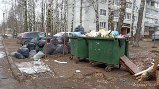 Рязанского регоператора оштрафовали за отказ вывозить отходы