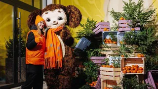 В центре Рязани вместо хлебозавода открылся новый Дом молодёжи