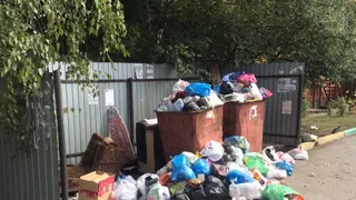 В течение месяца "Эко-Пронск" начнет работать как положено в течение месяца