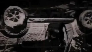 В Подмосковье в болоте утонула семья