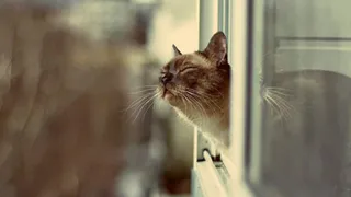 Брянцам на завтра прогнозируют 10 градусов тепла