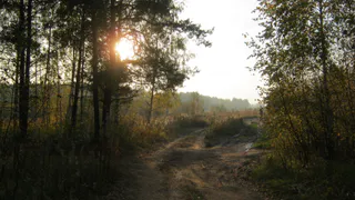Рязанской Мещерой будет управлять директор из Владимира