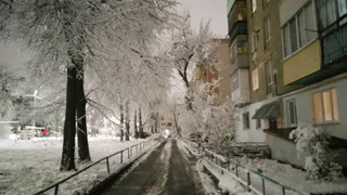 Синоптики рассказали, какой будет погода в Чувашии 12 февраля