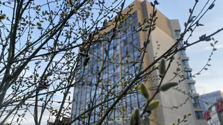 17 апреля Коми ждут незначительное похолодание и осадки в ряде районов 