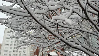 Полный откат к зиме: Гидрометцентр поменял прогноз с 25 мая — вернутся морозы и снег