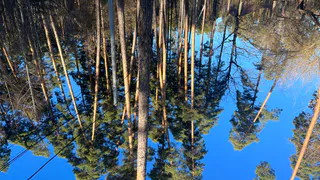 В Пензенской области действует противопожарный режим