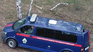 В Рязанской области трое жителей зарезали знакомого и спрятали тело в лесу