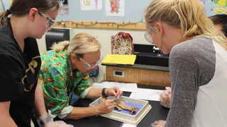 Ученые из Республики Коми нашли новый способ соединять нанотрубки