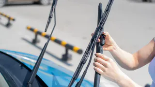 100-летние дворники моют как новые - 1 хитрость, и даже поводки менять не нужно