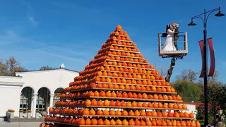 В Рязани провели церемонию бракосочетания на фоне тыквенной пирамиды