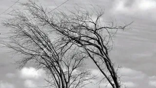 Во Владимире ожидается усиление юго-западного ветра