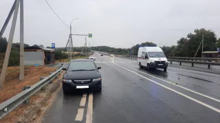 Под Рязанью Honda Odyssey насмерть сбила 84-летнюю женщину