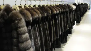 Брянский магазин рекламировал норковые шубы в рассрочку с подвохом