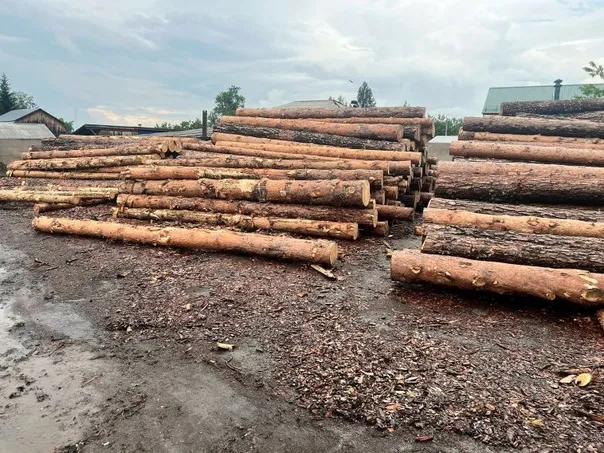 Таможенники Челябинской области пресекли крупную контрабанду местного леса
