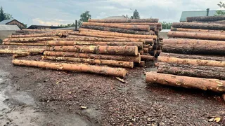 Тюменский бизнесмен организовал канал контрабанды уральского леса в Казахстан: возбуждено уголовное дело
