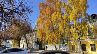 Солнечная погода уже не за горами: синоптики ошарашили своим новым прогнозом