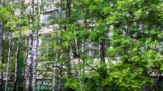 22 июля в Рязанской области ожидается порывистый ветер и до +26