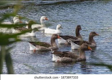 Приметы и запреты на 28 сентября: совет незамужним женщинам