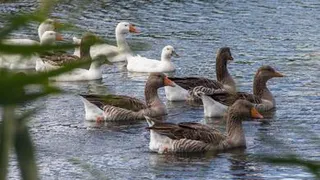 Приметы и запреты на 28 сентября: совет незамужним женщинам